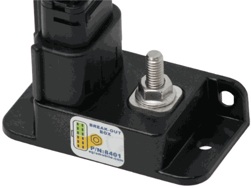 アカンサス　(ブラストオレンジ)　6/30まで SUNSHIFT® / S-S88 30-6a クロササ-マットゴールド（SUNSHIFTレ